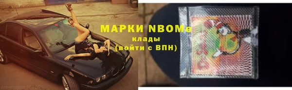 прущие грибы Балахна