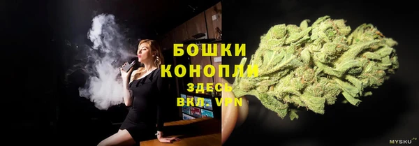 спиды Арсеньев