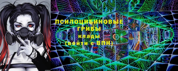 прущие грибы Балахна