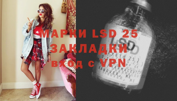 прущие грибы Балахна