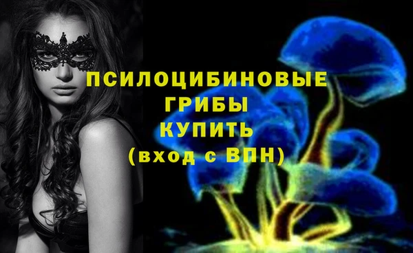 бошки Армянск