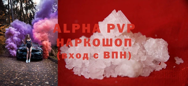 прущие грибы Балахна