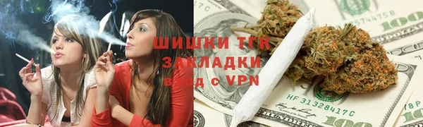 гашик Аркадак