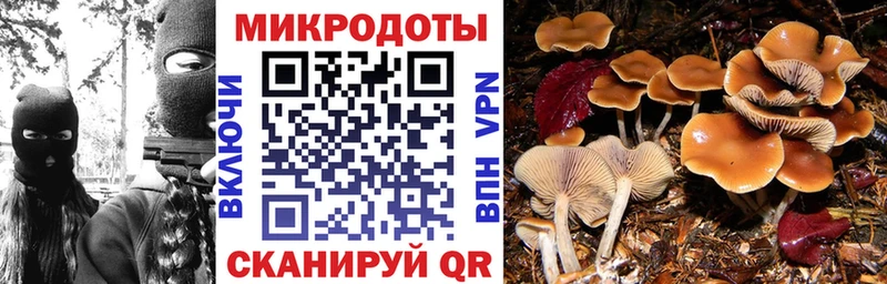 Псилоцибиновые грибы мухоморы  ссылка на мегу онион  Болотное  купить закладку 