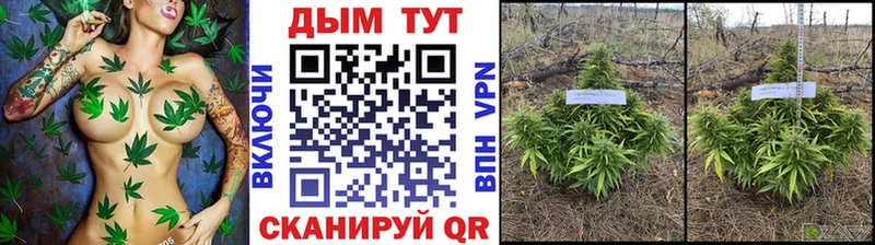 Конопля VHQ  Болотное 